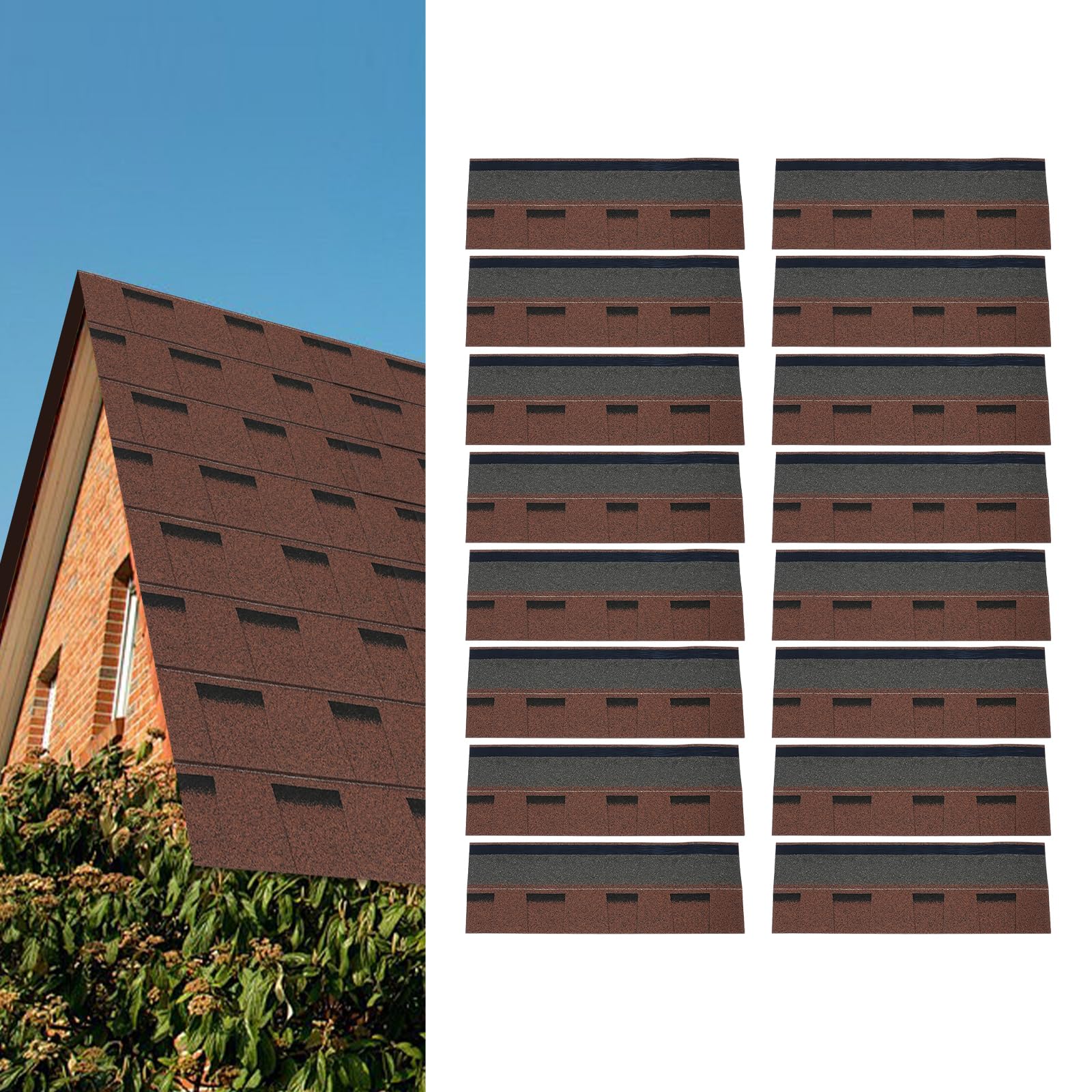 Brown-01-Brown-02 -
